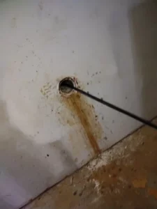Sewer and drain cleaning service in Murrieta home
