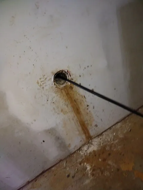 drain cleaning