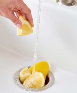 lemons in garbage disposal